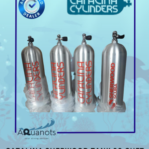 Catalina Sherwood Tank 80 Cuft