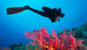 Spot Terbaik Gili Trawangan, Hingga Peralatan Diving Lengkap