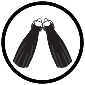 FINS