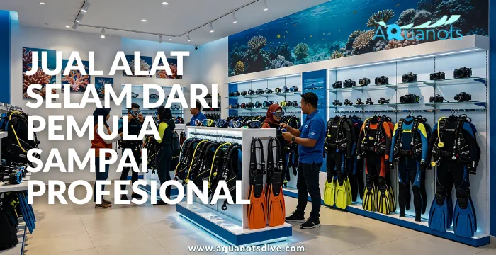 jual alat selam dari pemula sampai profesional